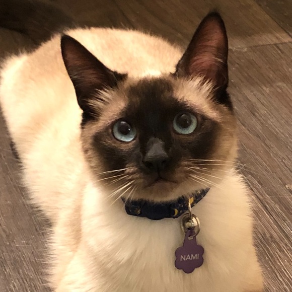 Meet your Posher, Mallori - Picture 1 of 1